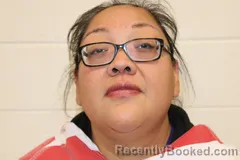 Mugshot of Vanessa R John