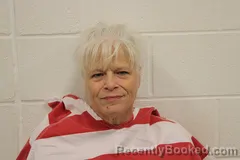 Mugshot of Sherry K Newberry