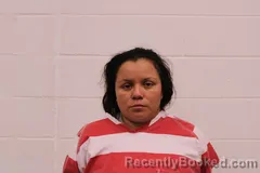 Mugshot of Josselin K Escobar Barrios