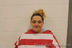 Mugshot of Tiffany M Johnson booked in Barry County, Missouri on May 15, 2026
