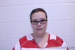 Mugshot of Lisa A Allen booked in Barry County, Missouri on March 31, 2026