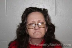 Mugshot of LISA HAKE