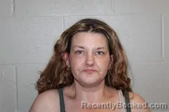 Mugshot of JENNIFER HOLLOBAUGH