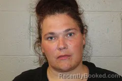 Mugshot of ERICA KOONS booked in Benton County, Missouri on June 2, 2026