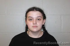 Mugshot of ADRIENNE HANNA booked in Benton County, Missouri on June 11, 2026
