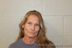 Mugshot of SHARLIE DAVIS booked in Benton County, Missouri on June 18, 2026