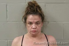 Mugshot of BRANDI NICKELSON booked in Benton County, Missouri on July 4, 2026