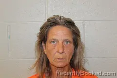 Mugshot of GINA PONESSA booked in Benton County, Missouri on July 22, 2026