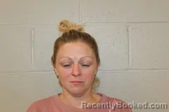 Mugshot of MEGHAN ALLES booked in Benton County, Missouri on July 25, 2026