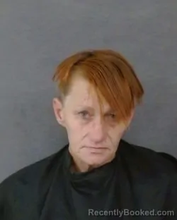 Mugshot of LESLIE ANNE WHITEHEAD