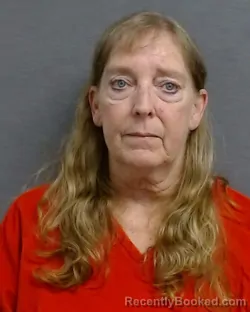 Mugshot of HOLLY DAWN JONES