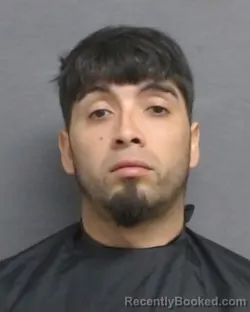 Mugshot of CARLOS ALFREDO LEINS GUAJARDO