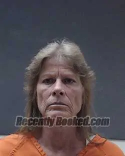 Mugshot of SHERRY LYNN WILKINS