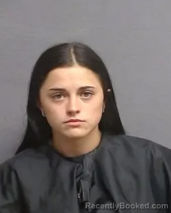 Mugshot of ANGEL BRIANNA COLLIER booked in Glades County, Florida on June 4, 2026