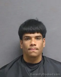 Mugshot of JOEL ALANIZ