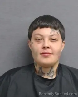 Mugshot of ALEXIS PEREZ