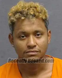 Booking photo from Glades County, Florida