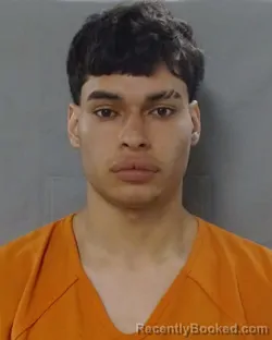 Mugshot of ELVIN JACIEL MALDONADO CALDERON