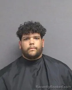 Mugshot of ORELBE ALCANTARA