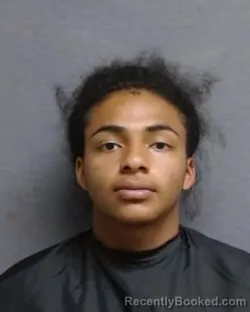 Mugshot of RAYLEN RICH SMITH booked in Glades County, Florida on April 2, 2026