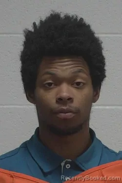 Mugshot of DENNISLYN SHAKIM SWINSON