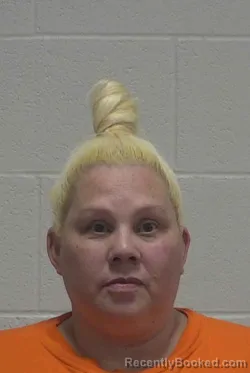 Mugshot of Jennifer Ariana Langer booked in Wayne County, North Carolina on September 2, 2026