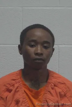 Mugshot of DESTINI TAJAI COVINGTON booked in Wayne County, North Carolina on May 20, 2026