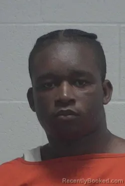 Mugshot of AQUAVIOUS NIRELL HEATH booked in Wayne County, North Carolina on March 18, 2026