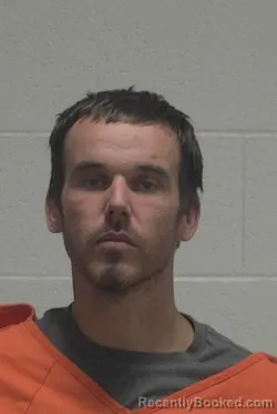 Mugshot of DILLON BLAKE BROWN booked in Wayne County, North Carolina on March 29, 2026