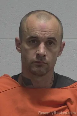 Mugshot of LEWIS CODY HONEYCUTT
