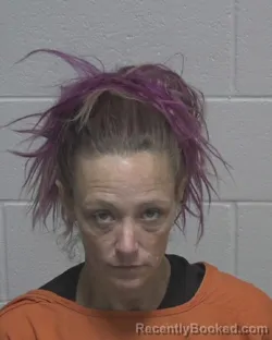 Mugshot of KRISTIN NEWMAN SHIRLEY booked in Wayne County, North Carolina on April 24, 2026