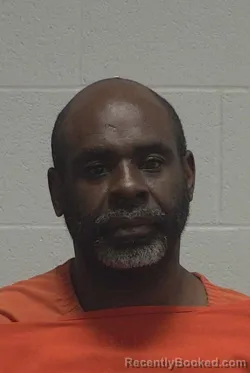 Mugshot of TAMARICE LEVON HILL booked in Wayne County, North Carolina on May 26, 2026