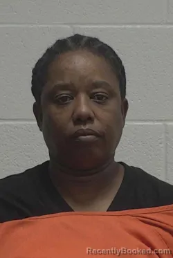 Mugshot of LASHONYA TONNETT JAMES booked in Wayne County, North Carolina on March 28, 2026