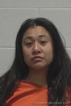 Mugshot of AMAYRANY PALMA