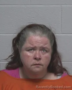 Mugshot of LAURA LEE DIAZ booked in Wayne County, North Carolina on May 28, 2026