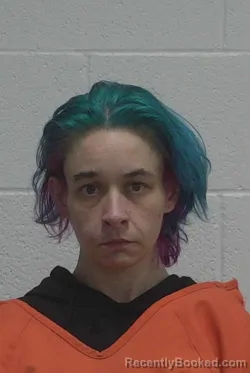 Mugshot of JAMIE RAE ALBRIGHT booked in Wayne County, North Carolina on March 11, 2026