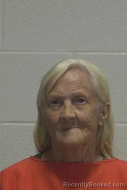 Mugshot of Freda Kay Summerlin booked in Wayne County, North Carolina on September 16, 2026