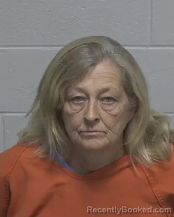 Mugshot of DONNA BEASLEY TRIPLETT booked in Wayne County, North Carolina on May 31, 2026