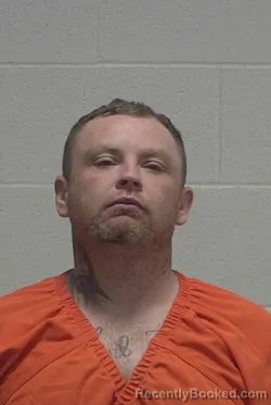 Mugshot of BRANDON MICHAEL MIZELL