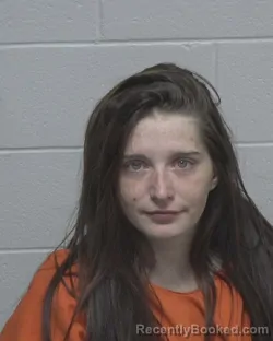 Mugshot of LEAH MARIE HAUCK booked in Wayne County, North Carolina on March 31, 2026