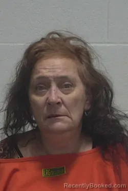 Mugshot of JUDY ANN HAMM booked in Wayne County, North Carolina on July 11, 2026