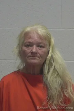 Mugshot of LYNDI BEA GOODMAN-MITCHELL booked in Wayne County, North Carolina on July 18, 2026