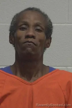 Mugshot of SANDRA HINNANT FARMER