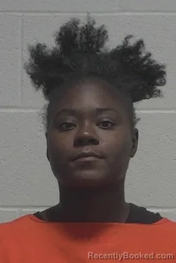 Mugshot of Lexx Dominque Williamson booked in Wayne County, North Carolina on August 19, 2026