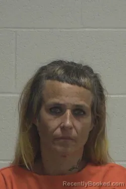 Mugshot of JENNIFER LYNN HARRIS booked in Wayne County, North Carolina on June 24, 2026