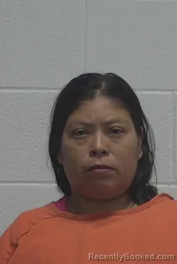 Mugshot of ARICELDA ROBLERO MORALES booked in Wayne County, North Carolina on May 10, 2026