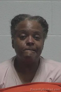 Mugshot of Shawanda Lorraine Everett booked in Wayne County, North Carolina on September 12, 2026