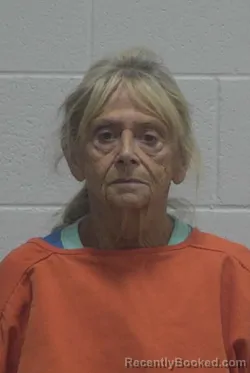 Mugshot of LINDA KNOWLES GRAHAM booked in Wayne County, North Carolina on May 11, 2026
