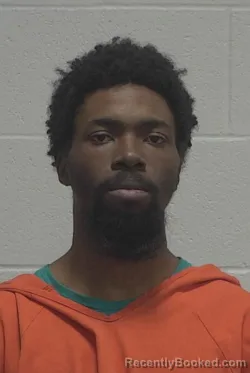 Mugshot of ELIJAH JUWON BELL booked in Wayne County, North Carolina on March 26, 2026