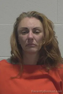 Mugshot of ALYSHA MARIE HARVIE booked in Wayne County, North Carolina on May 20, 2026
